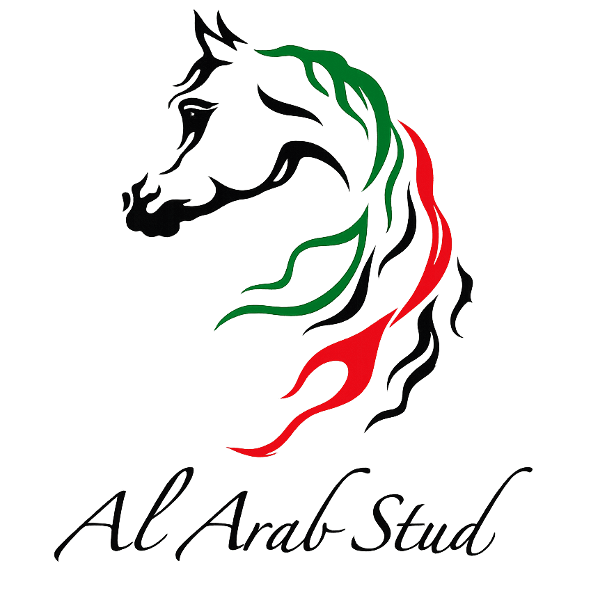 Al Arab Stud